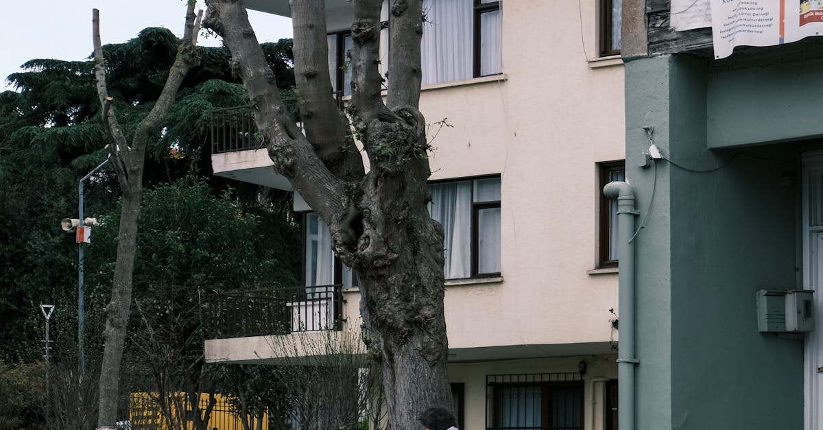 Bucurie pentru Caraș-Severin: extinderea termenelor pentru pistele de biciclete