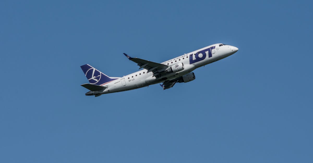 Rezultatele primului an de zboruri LOT Polish Airlines de la Oradea: câți pasageri au călătorit și ce subvenție a fost oferită