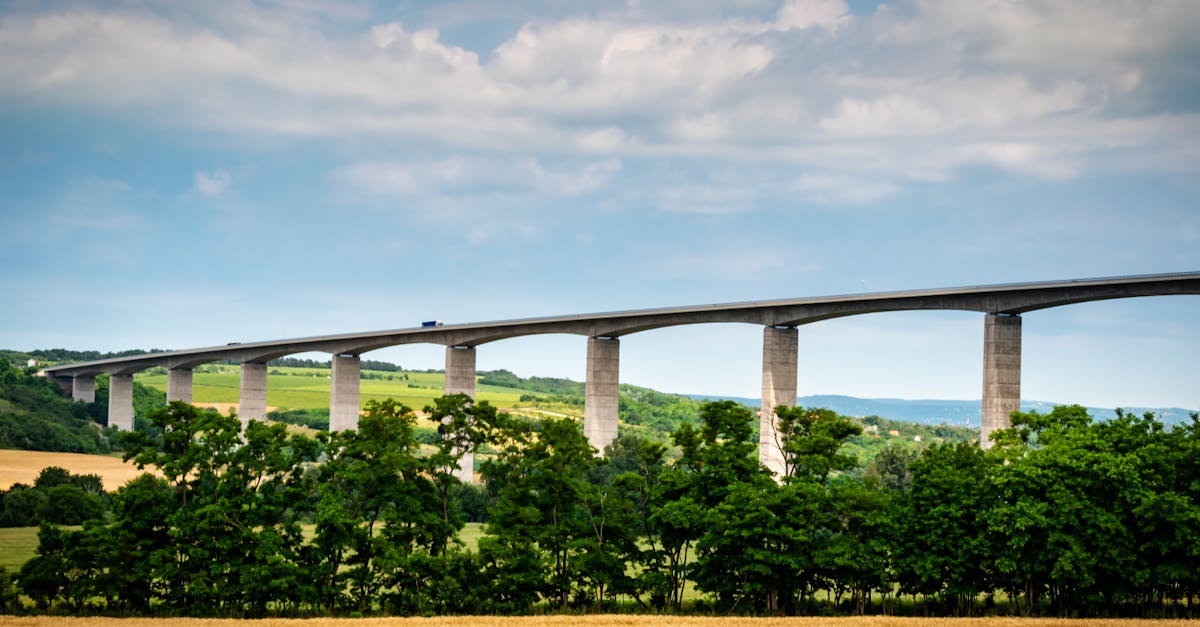 România și Ungaria se conectează printr-un nou drum la Beba Veche