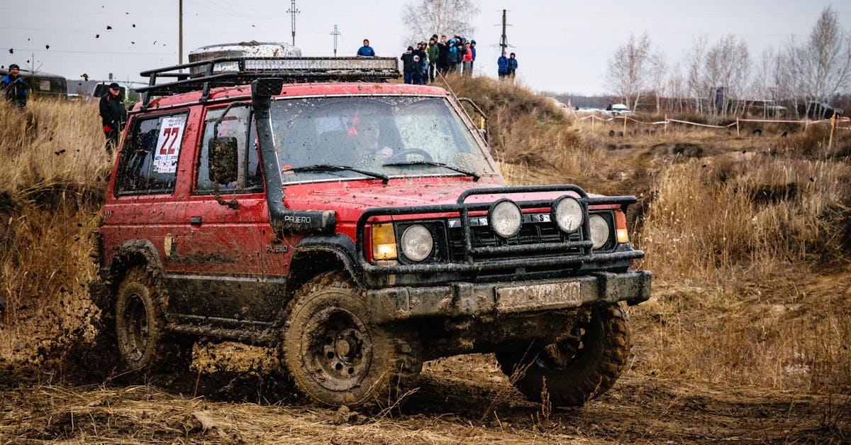 Descoperă noutățile TESS Rally Brașov 2025: traseu pe asfalt și inovații impresionante