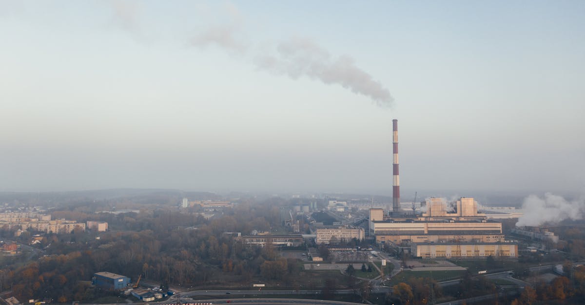 Planeta în pericol: zece semne alarmante ale schimbărilor climatice