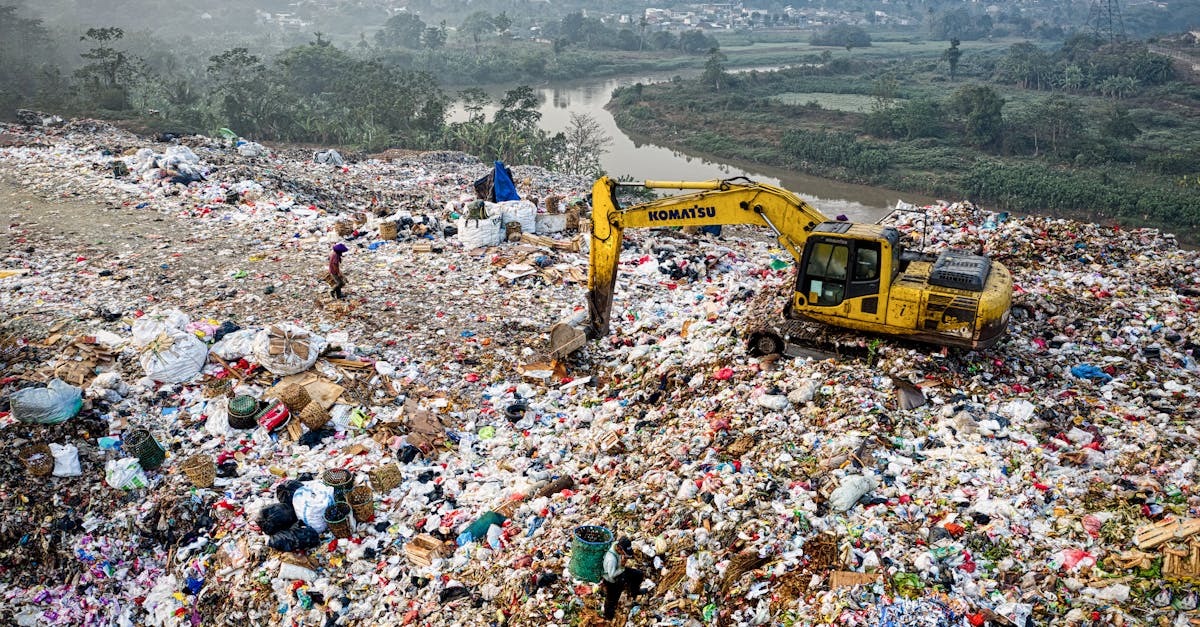 Salinitatea din Târnava Mare amenință ecosistemul acvatic: măsuri de urgență pentru salvarea peștilor