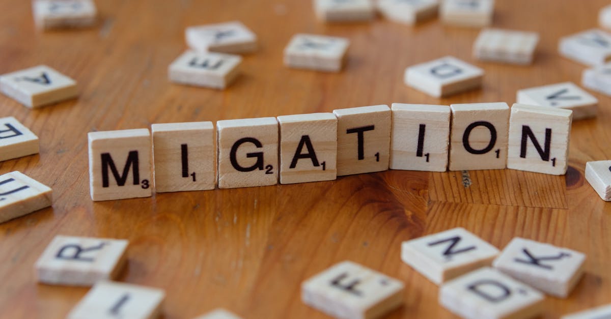 Belgia impune controale stricte la frontieră pentru a combate migrația ilegală