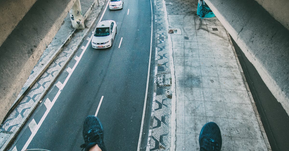 Cai de poveste pe străzile din Cluj-Napoca: o plimbare neobișnuită în mijlocul traficului