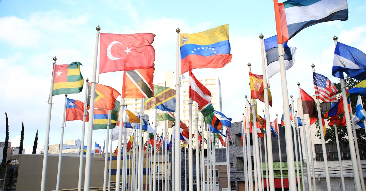 Summitul NATO de la Haga: măsuri speciale pentru a asigura participarea liderilor