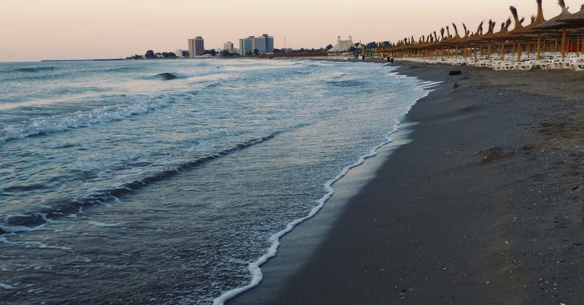 Plajele din Mamaia și Constanța sufocate de alge, turiștii se confruntă cu disconfort
