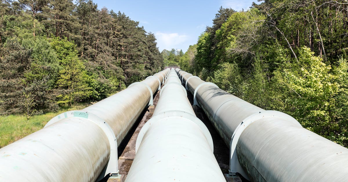 România plătește mai mult pentru energie decât Germania și Austria, cereri pentru demisia ministrului Energiei