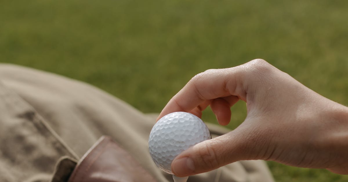 Un pui de rechin-ciocan a căzut din cer pe un teren de golf din SUA
