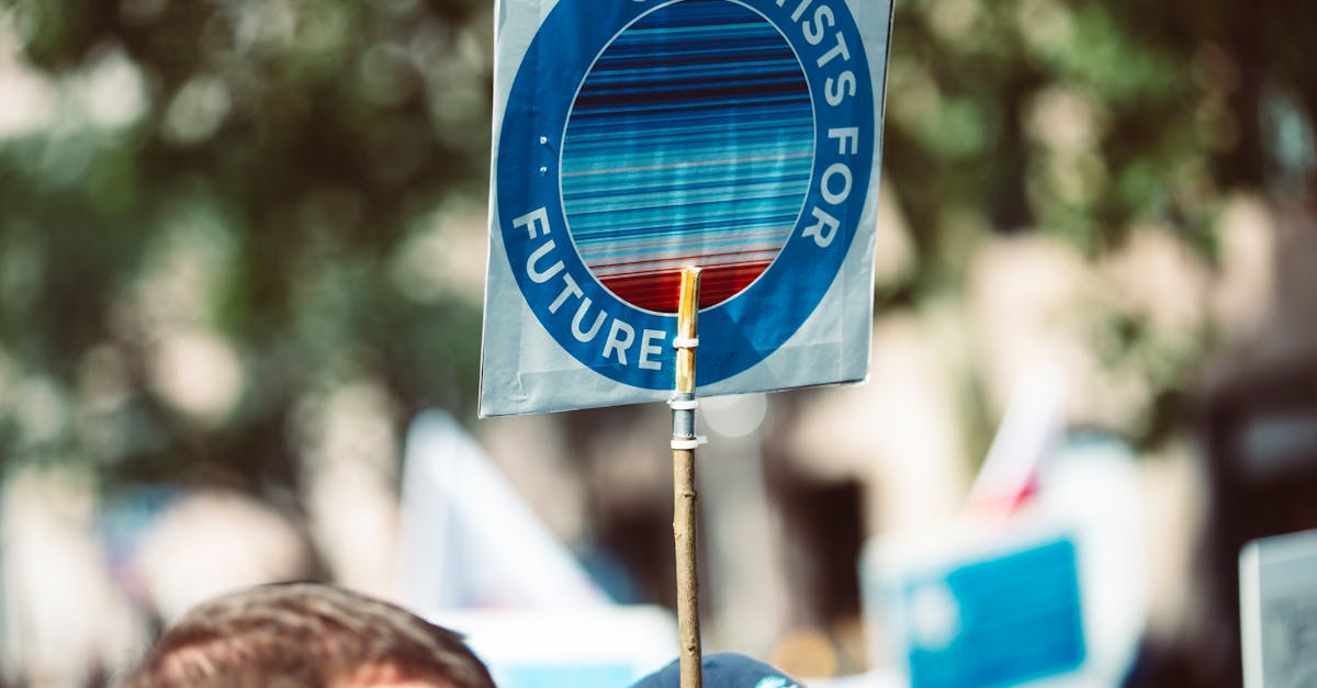 Roma se confruntă cu o invazie de gândaci de bucătărie în plin sezon turistic