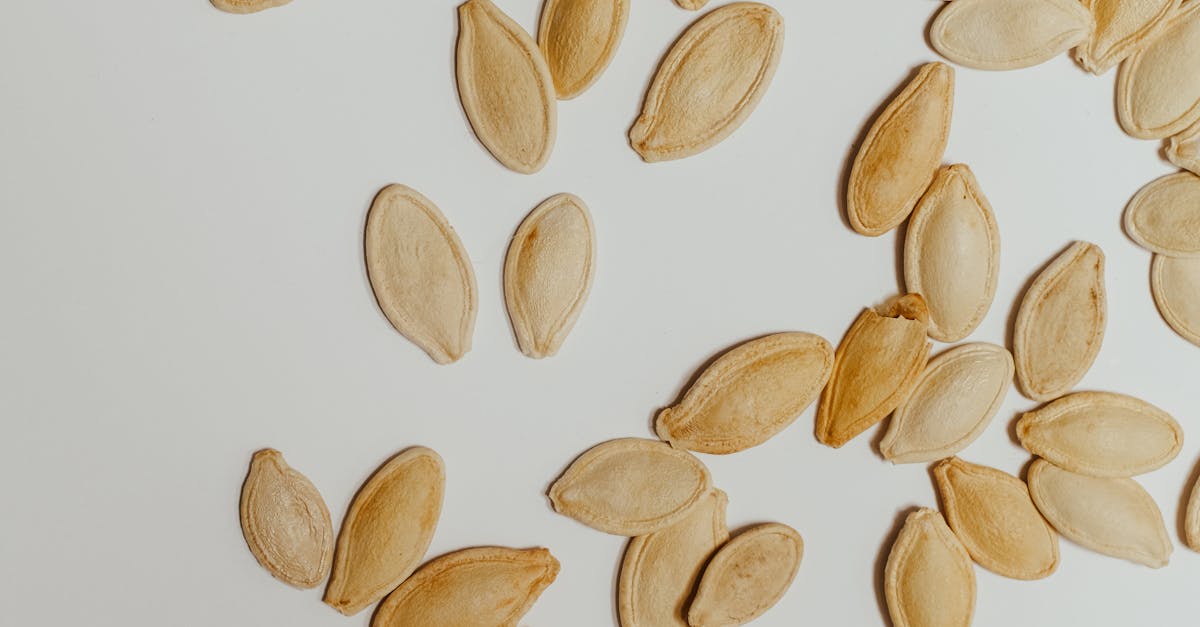 Biscuiții proteici FoodCell, apreciati de juriul ECOTROPHELIA România