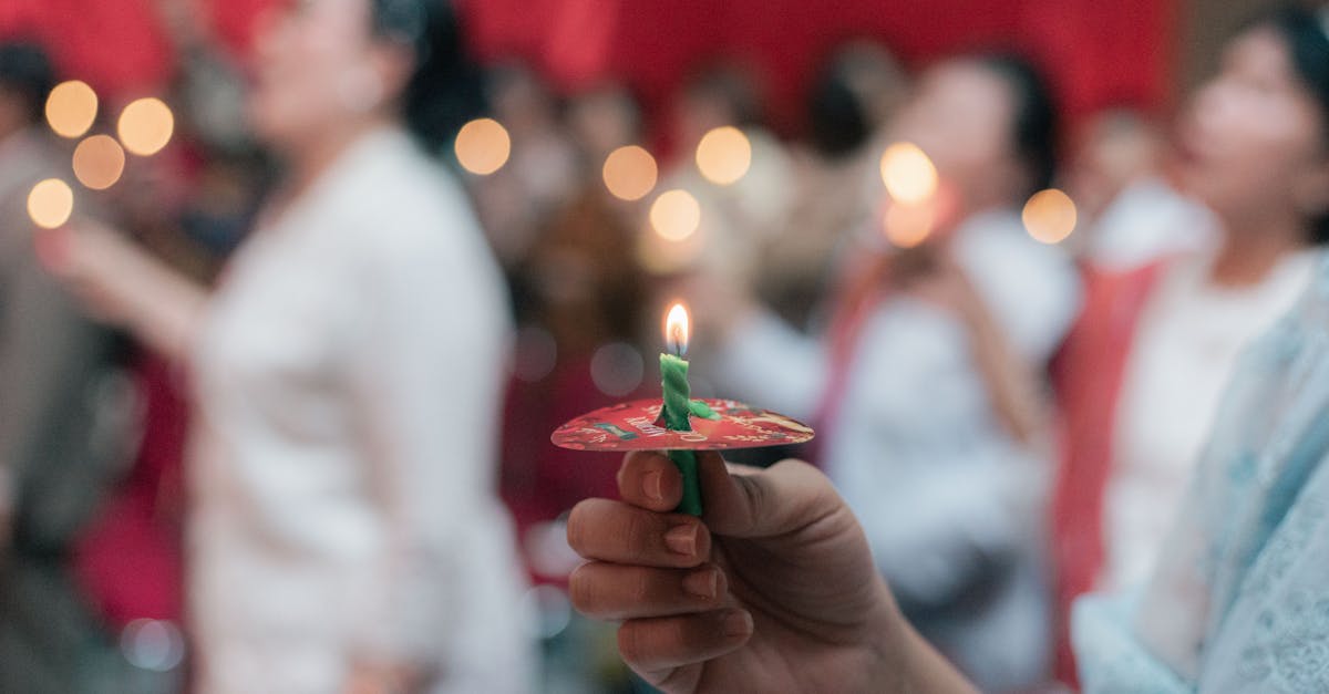 Elevii din Sebeș explorează Valea Sebeșului ca recunoaștere a muncii lor la Festivalul „Lucian Blaga”