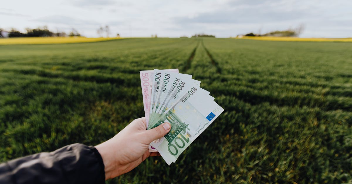 O nouă grădiniță în Grădiștea: investiție pentru un viitor educațional modern