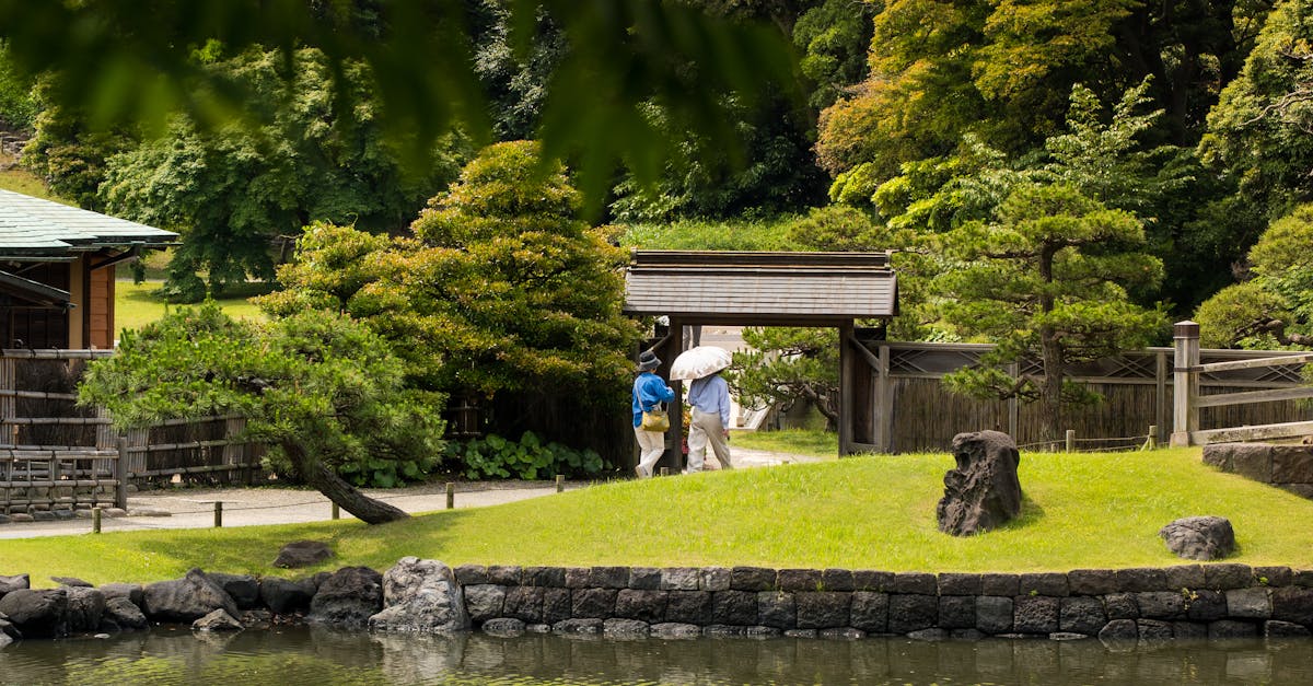 Caniculă extremă în Japonia: temperaturi-record aduc avertizări de urgență