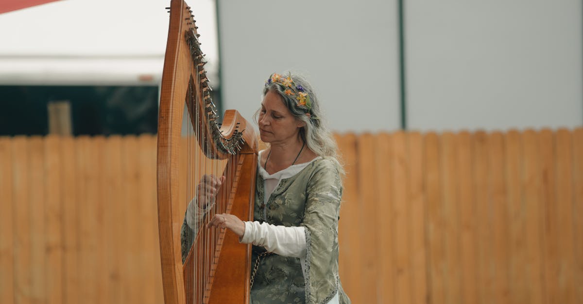 Festivalul medieval Bathory Fest aduce muzică și istorie la Șimleu Silvaniei