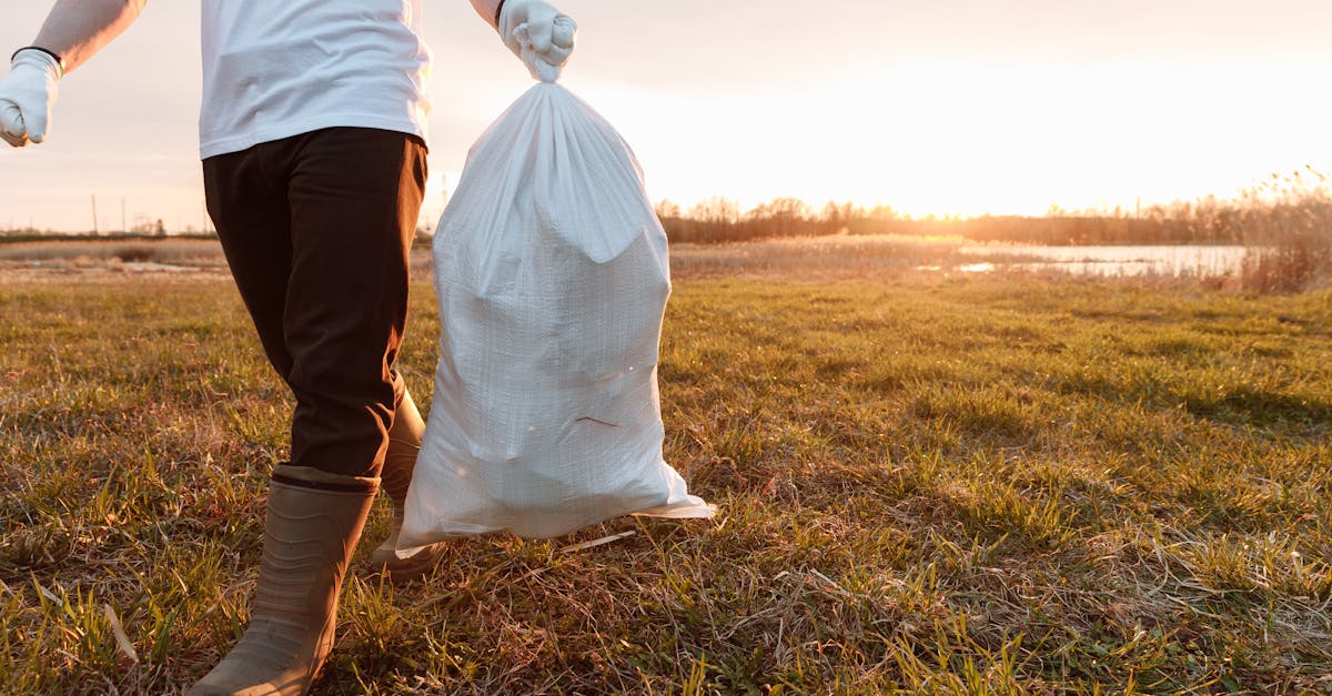Containerele de reciclare din Găvana sunt acum disponibile pentru locuitori