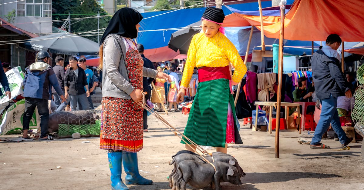 Decizia surprinzătoare a Chinei: porci mai slabi pentru o piață stabilă