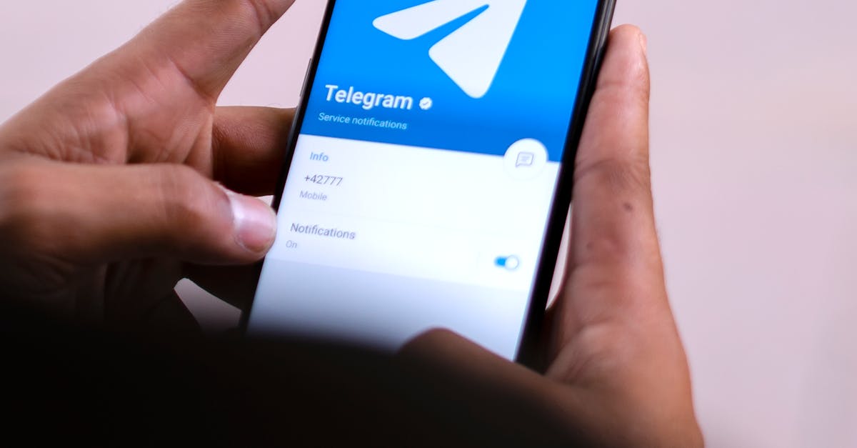 WhatsApp aduce publicitate: ce trebuie să știi despre noile reclame