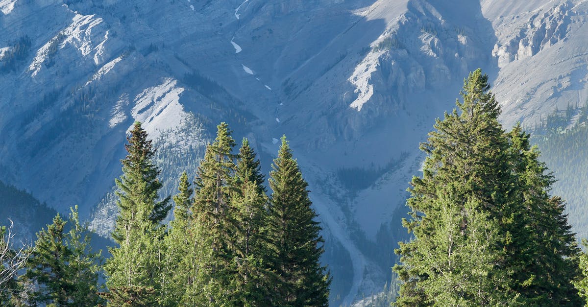 Tragedie pe un traseu din Banff: o cădere de pietre provoacă un deces și mai multe răni