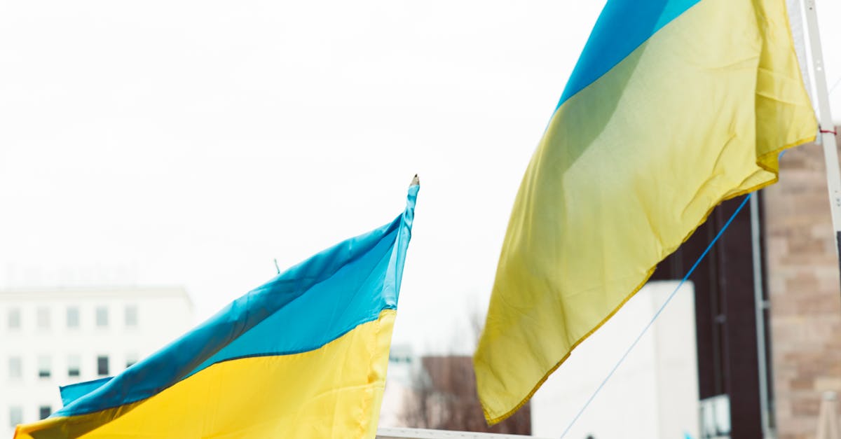 Controverse în Uniunea Europeană: țările care se opun interdicției importurilor de gaze din Rusia