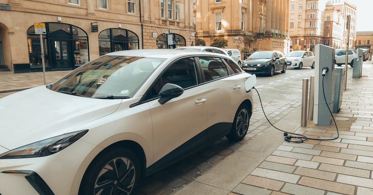 Rabia 2025: Subvențiile pentru diesel dispar, înscrierea devine directă și online