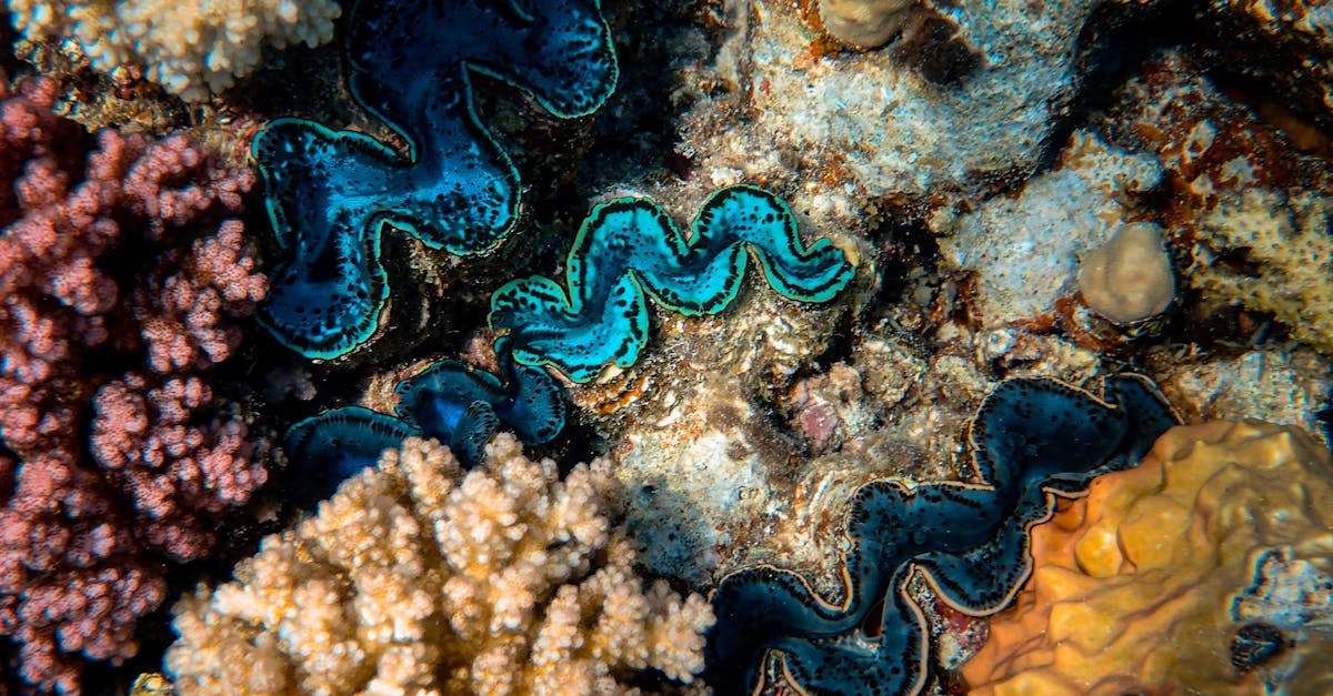 Descoperirea impresionantă a celui mai mare vierme din lume în Filipine