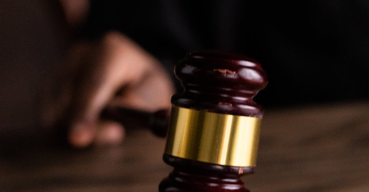Consilier județean din Suceava pus sub control judiciar în dosarul de evaziune fiscală cu lemn