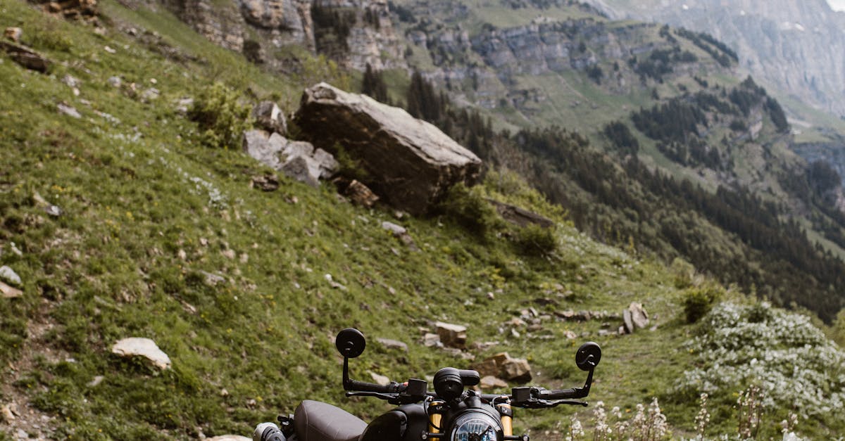 Bike park-ul din Postăvarul se redeschide: aventuri pe două roți în natură