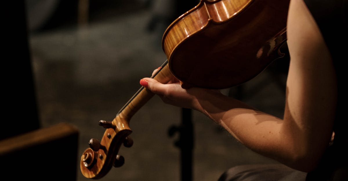 Festivalul internațional 'Ciprian Porumbescu': Muzica simfonică revine în Suceava