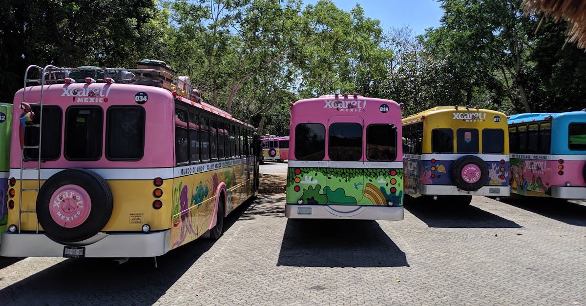 Noul program de circulație a autobuzelor în Pitești începe pe 23 iunie