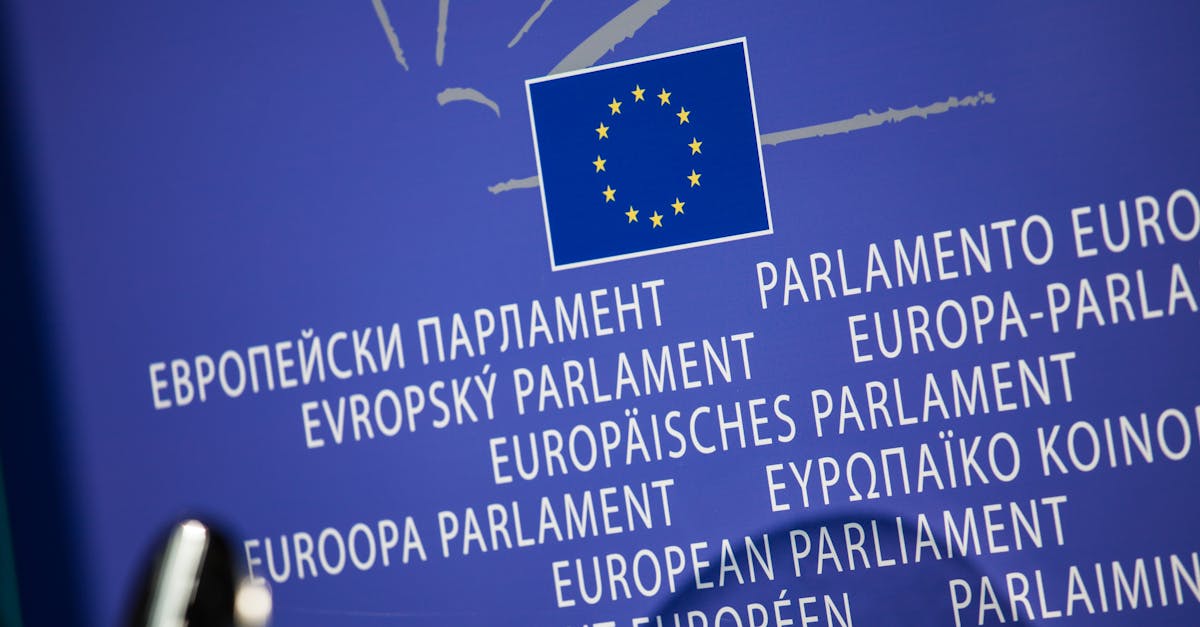 România își redefinește politica externă: o strategie modernă cu accent pe securitate și parteneriate