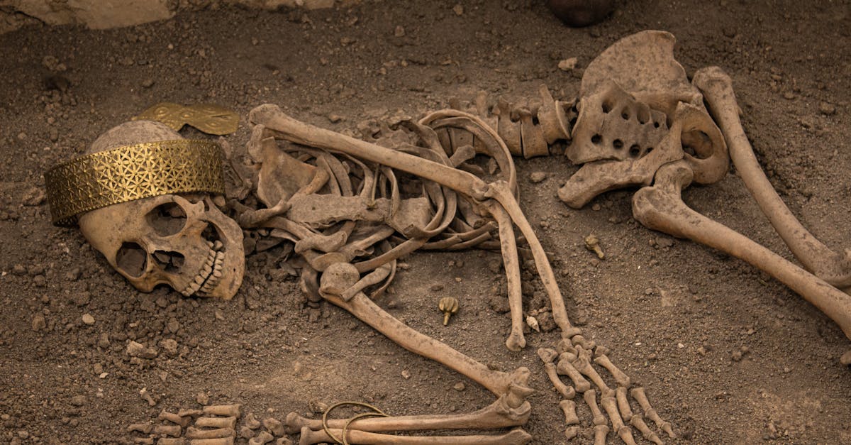 Descoperiri arheologice surprinzătoare la Mehala: morminte de acum 2.000 de ani