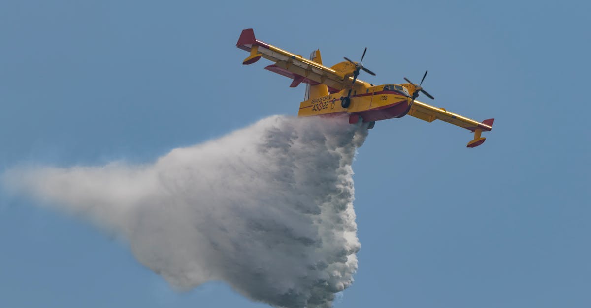 Incendii devastatoare pe insula Chios: aproape 200 de pompieri mobilizați pentru combaterea flăcărilor
