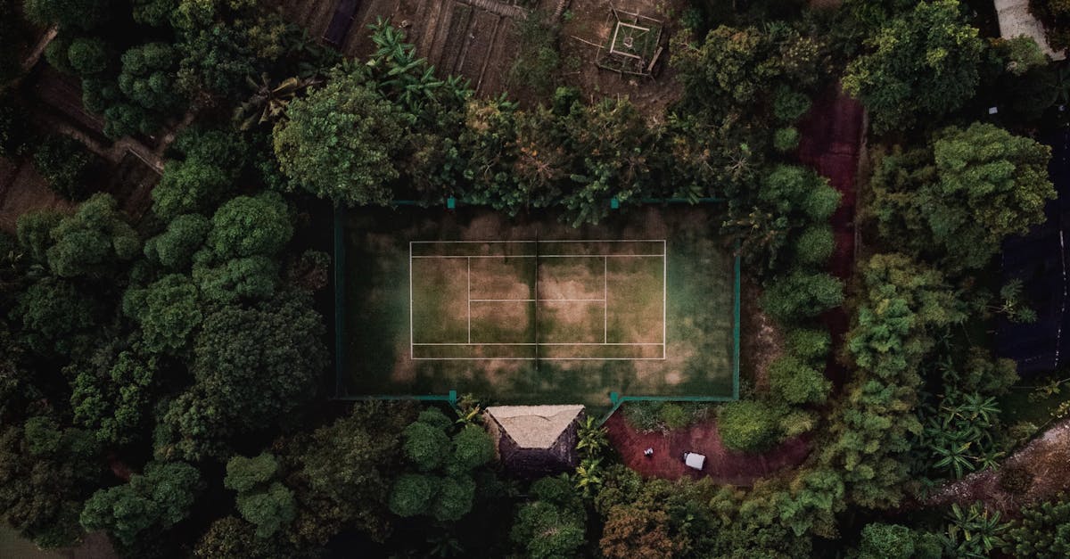 Sorana Cîrstea eliminată rapid la Bad Homburg în primul meci pe iarbă din 2025