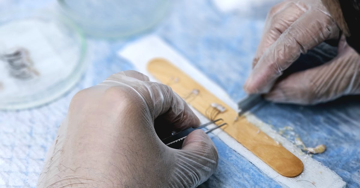 Transplantul de păr în Turcia: ce trebuie să știi despre costuri și clinici