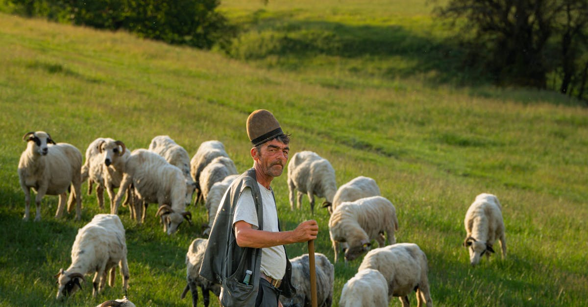 Cumnatul lui Geoană, Ionuț Costea, va fi extrădat din Turcia pentru a-și ispăși condamnarea