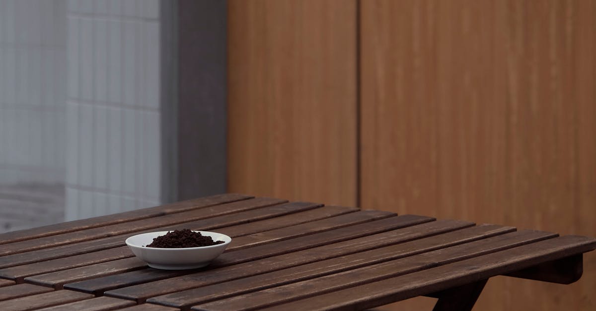 Revibe Coffee își deschide porțile în Timișoara cu o ofertă specială