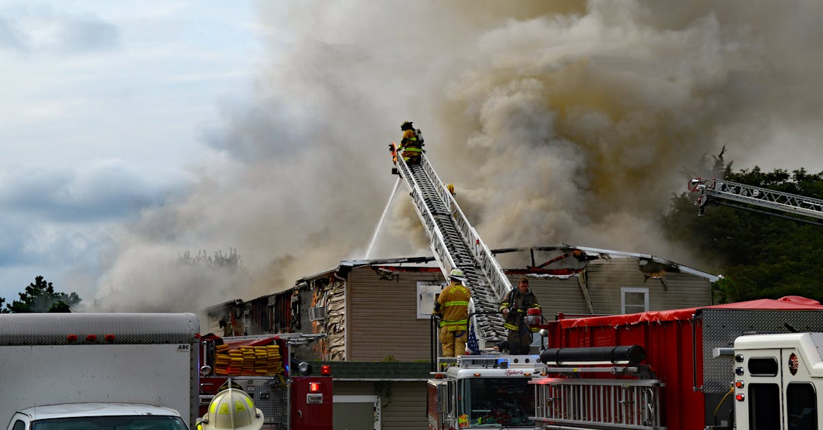Incendiu devastator în Mârșa: locuințe și animale distruse