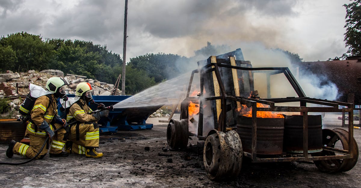 Incendiu devastator în pădurea Caraorman din Tulcea: cum a început totul