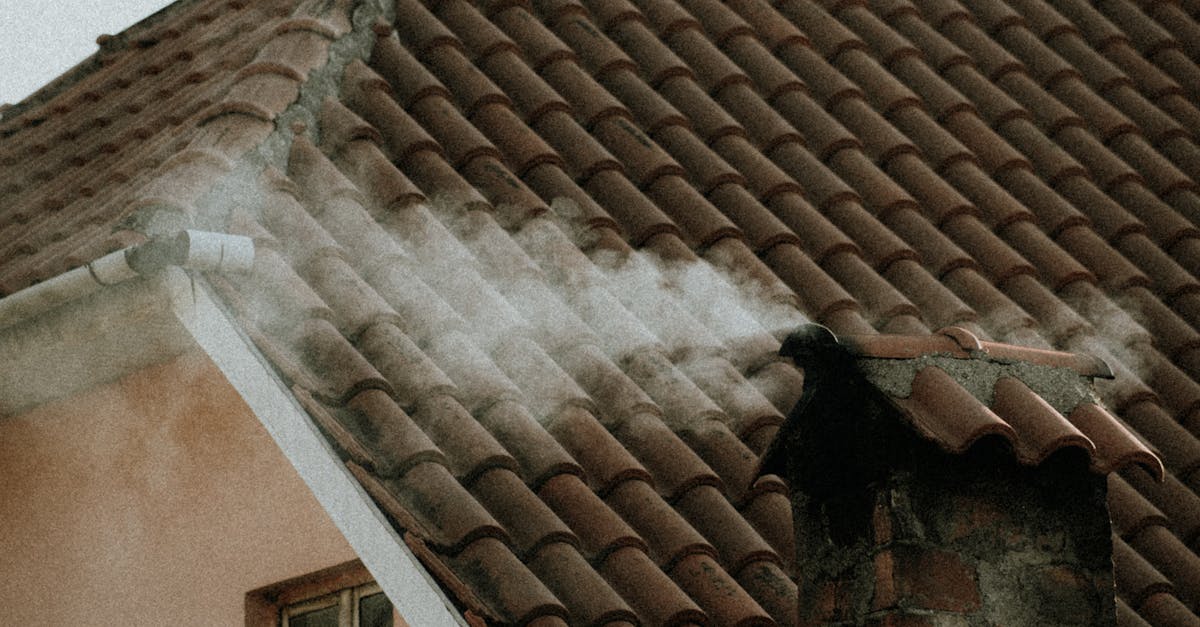 Canicula continuă: prognoza meteo pentru următoarele săptămâni