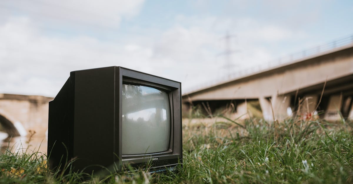 Captură impresionantă a poliției de frontieră: echipamente electronice și țigări descoperite în mașinile românilor