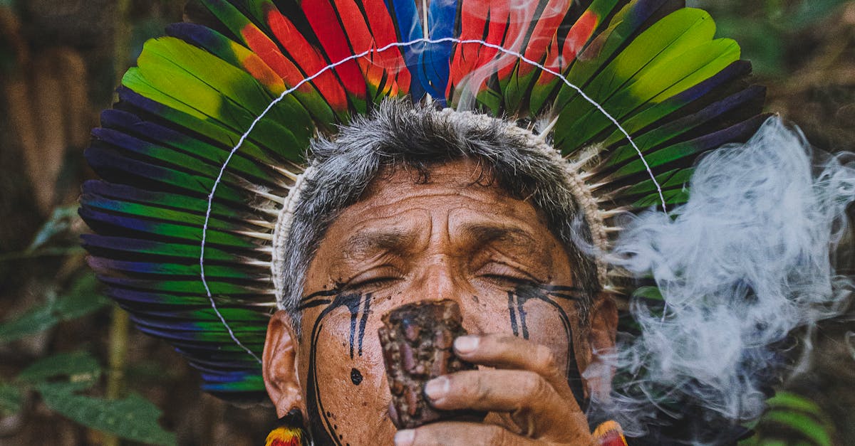 Yanomami: ritualul funerar care întărește legăturile familiale