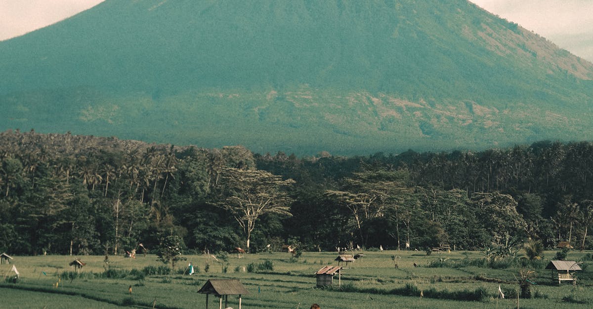 Tragedie pe Muntele Rinjani: o turistă braziliană găsită după patru zile de căutări