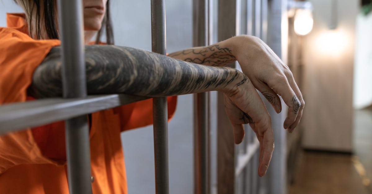 Descoperă viața din penitenciar: ziua porților deschise la Slobozia