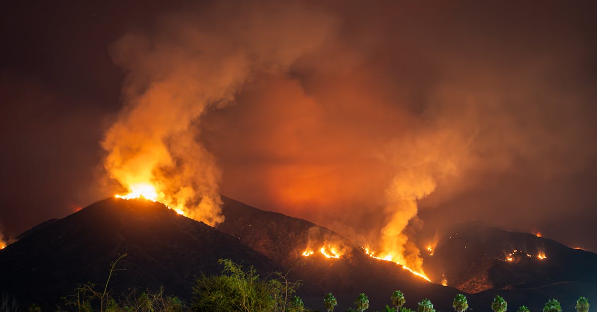 Incendiu devastator pe Vârful Vlădeasa: cabana și stația meteorologică în flăcări