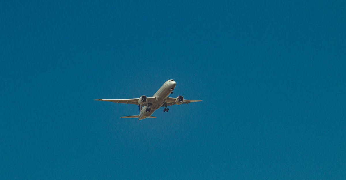 Proiect ambițios: Ruta aeriană Brașov – Paris-Orly, în atenția oficialilor francezi