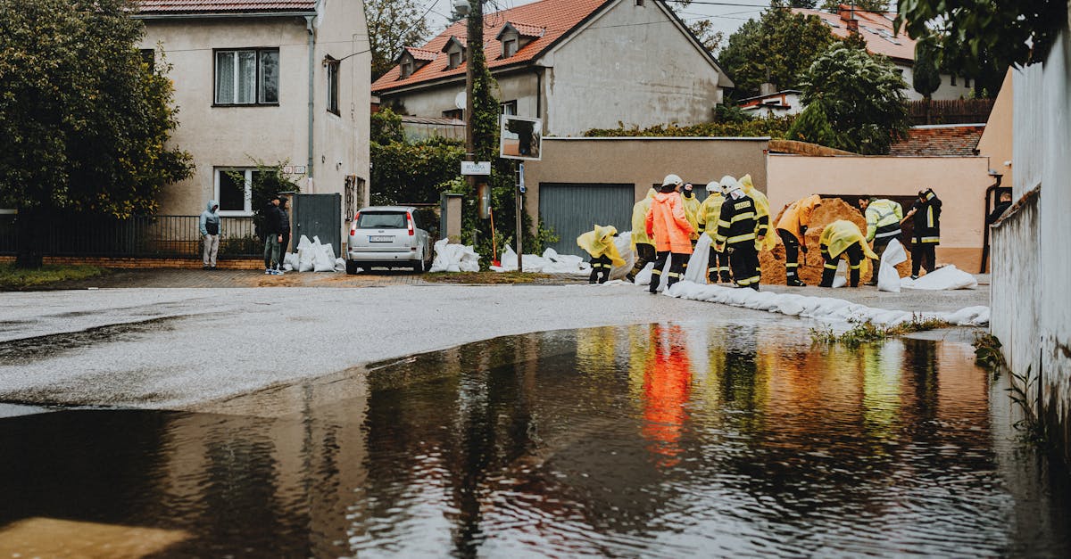 Curățarea canalelor de desecare din Stupini, esențială pentru prevenirea inundațiilor