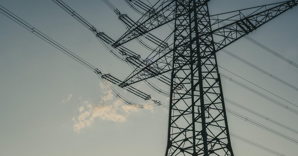 Investiție majoră în infrastructura energetică: linia 400 kV Timișoara - Arad prinde contur