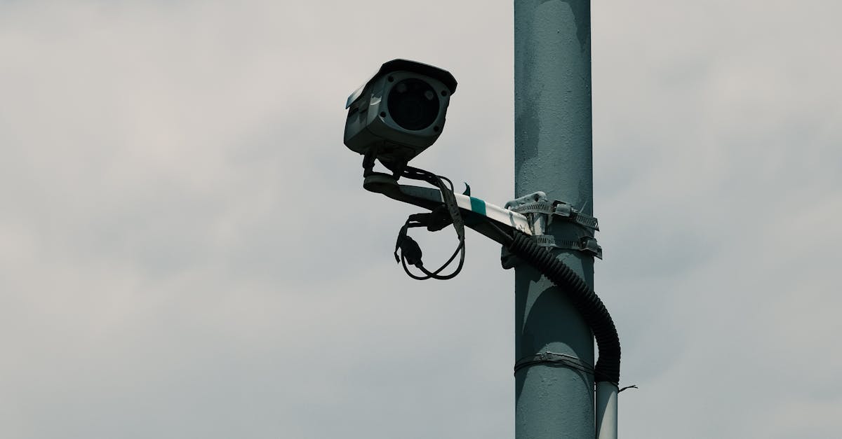 Jandarmii din Brașov prind un hoț la fosta platformă Rulmentul