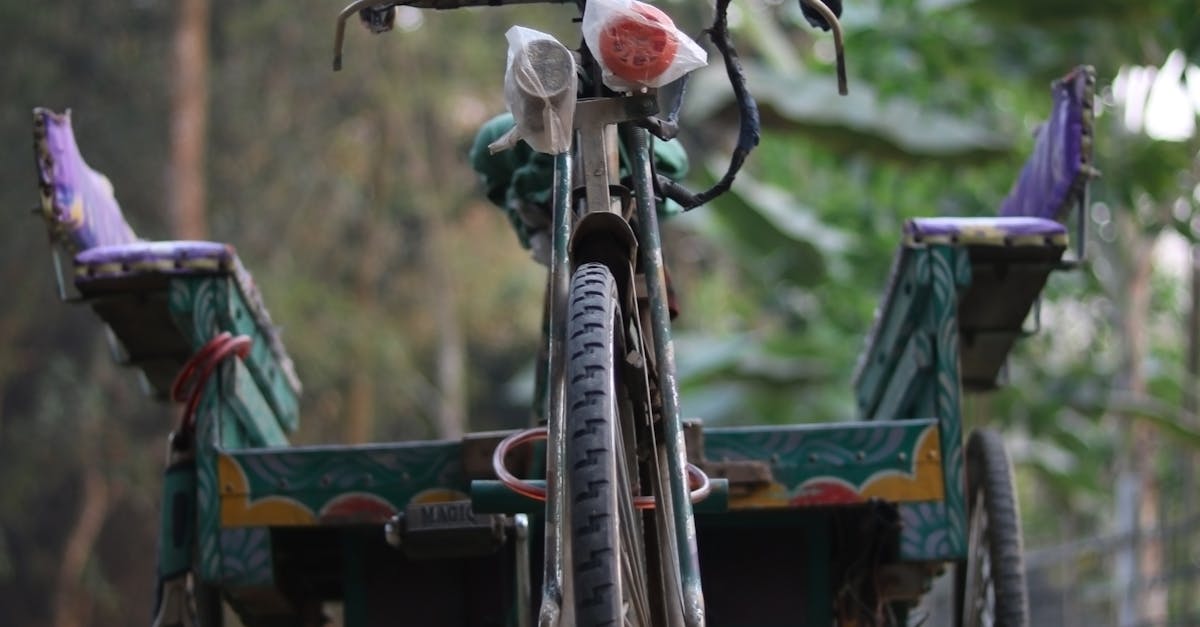 Accident tragic în Stâlpu: un biciclist a fost lovit mortal de un camion