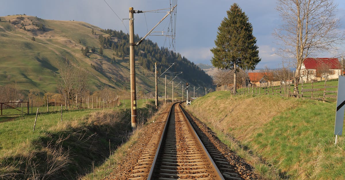 Brașovul îmbrățișează viitorul: microbuze electrice pentru elevi